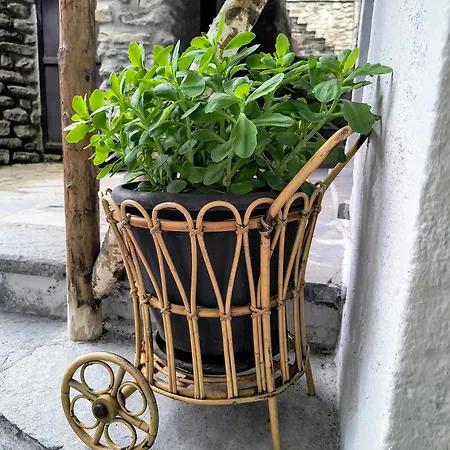 Lo Tata - Maisons De Charme - Caratteristico A 2 Passi Da Courmayeur Apartment *